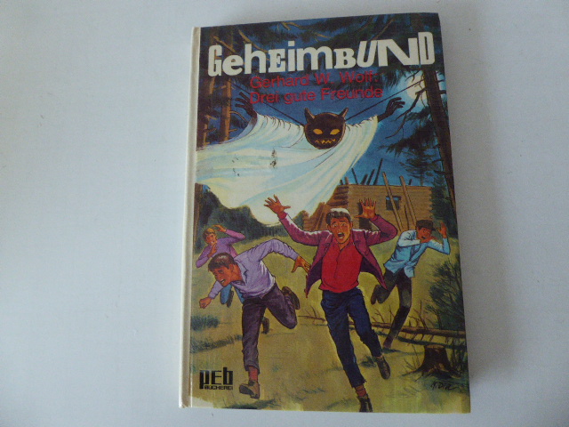 Geheimbund: Drei gute Freunde. PEB Bücherei für Lesealter ab 10 Jahren. Hardcover - Gerhard W. Wolf