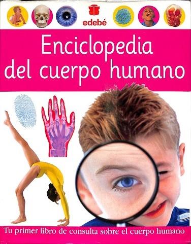 ENCICLOPEDIA DEL CUERPO HUMANO - Dorling Kindersley Limited