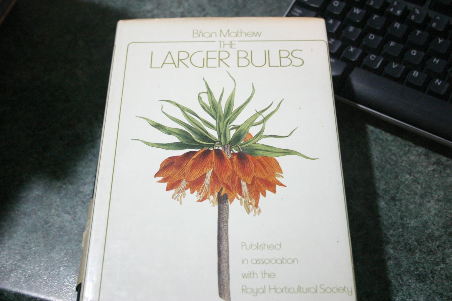 The Larger Bulbs - Brian Mathew