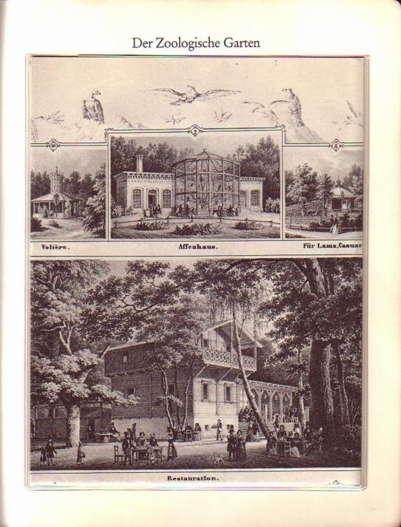 Der Zoologische Garten bei Berlin. Lithographie von Heinrich Mützel im