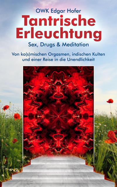 Tantrische Erleuchtung : Sex, Drugs & Meditation - Owk Edgar Hofer
