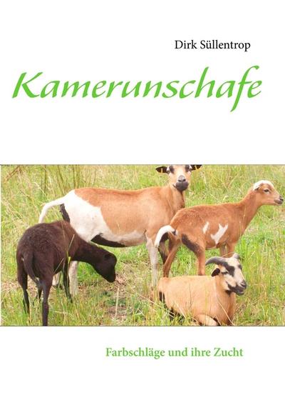 Kamerunschafe : Farbschläge und ihre Zucht - Dirk Süllentrop