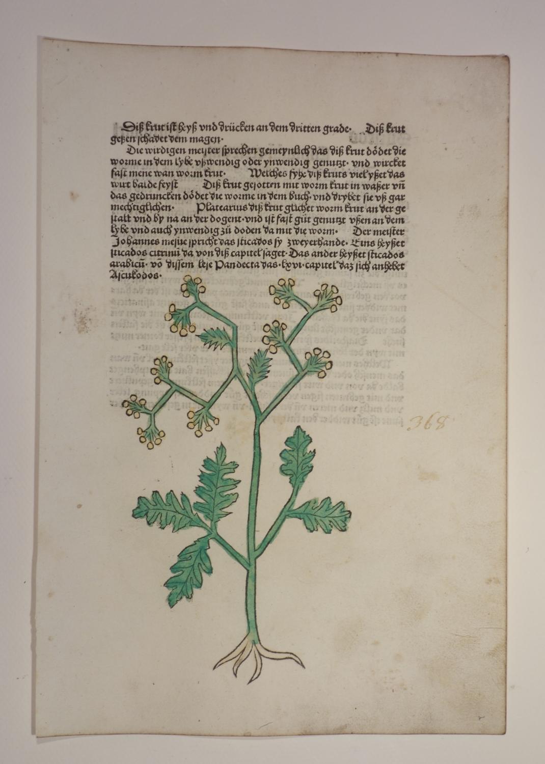 gart der gesundheit von johann von ZVAB