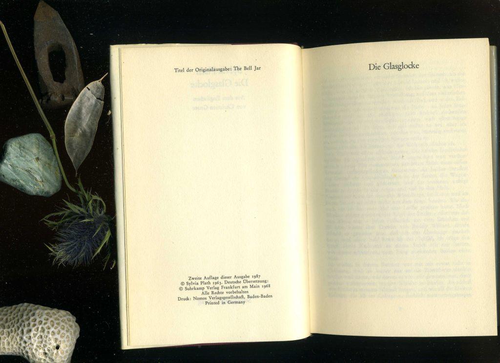 Die Glasglocke. Aus dem Englischen von Christian Grote. The bell jar. by Plath, Sylvia (1987