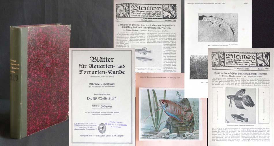 Blätter für Aquarien- und Terrarien-Kunde. XXXX. [40.] Jahrgang (1929). - WOLTERSTORFF, Dr. W. (Herausgeber);
