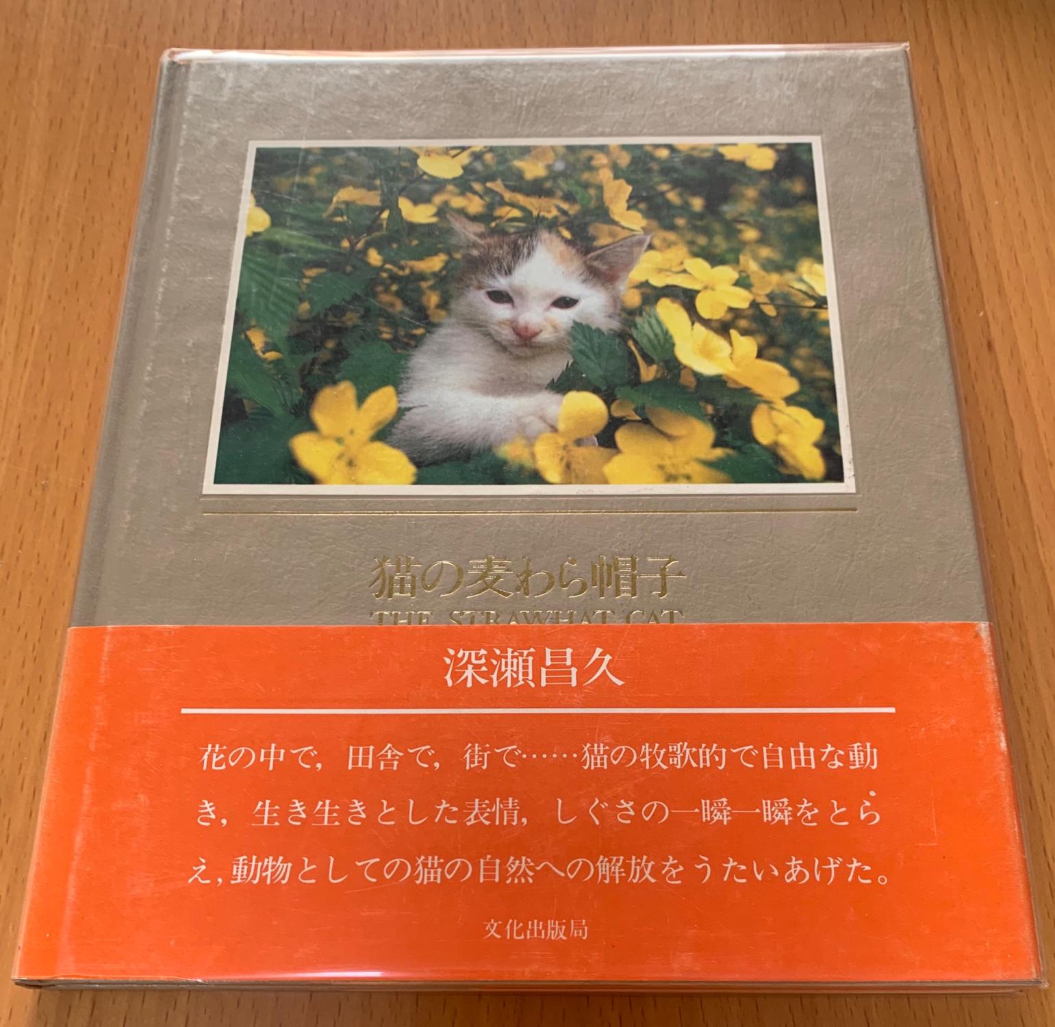 Straw Hat Cat by Masahisa Fukase: Near Fine Hardcover (1979