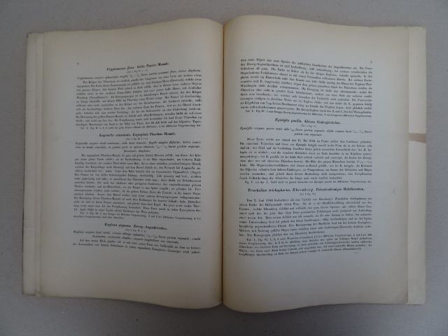 Neue Formen von Infusorien. Wien, 1849. Titel, 6 S. Mit 2 farb. lithogr ...