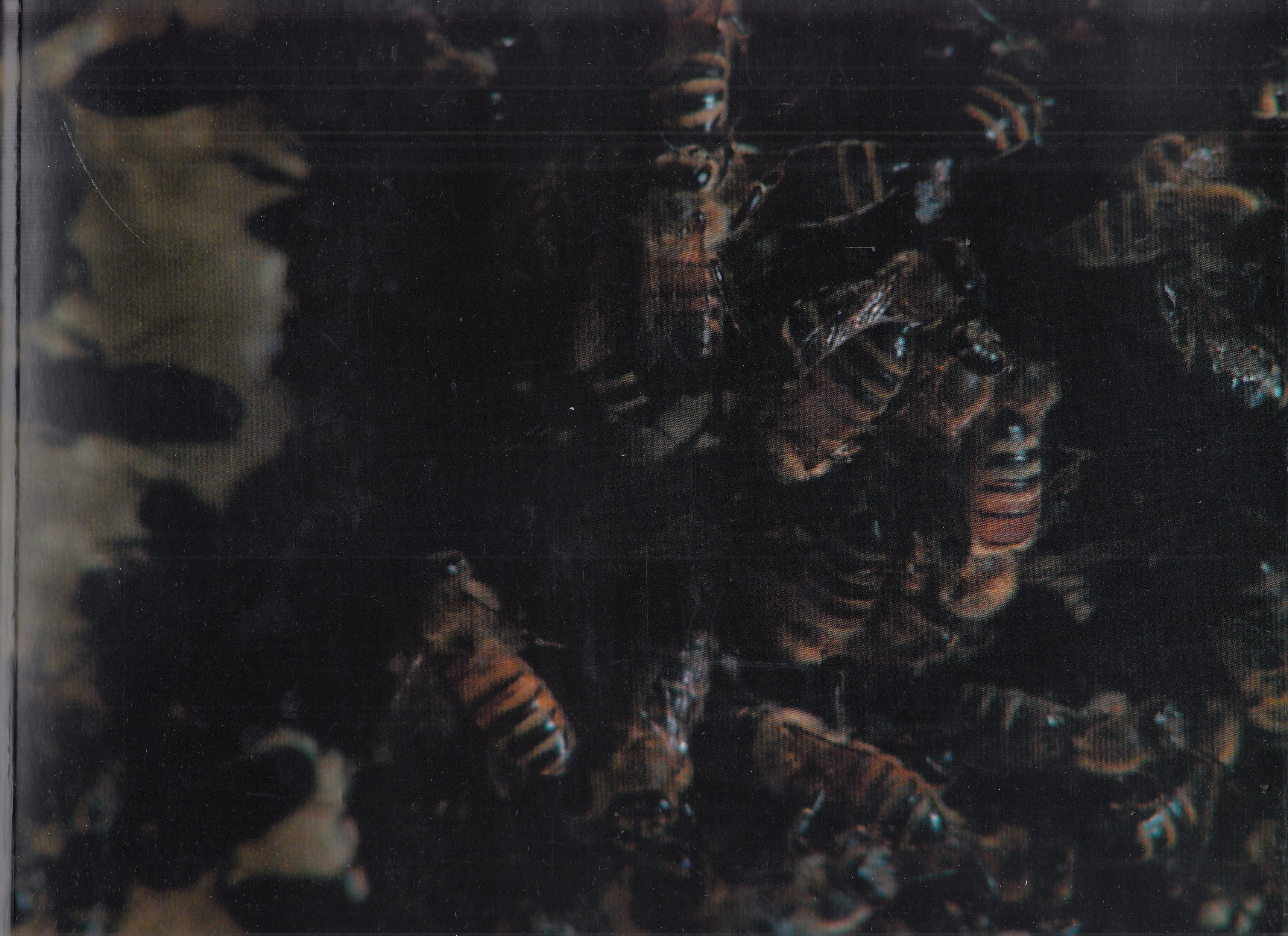 Matthew Barney. Cremaster 2 (1999) Stefan Schuelke Fine