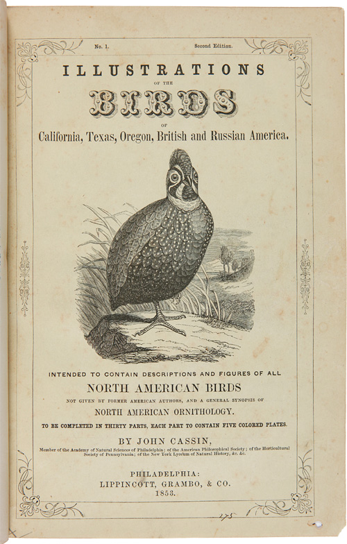 ILLUSTRATIONS OF THE BIRDS OF CALIFORNIA, TEXAS, OREGON, BRITISH AND RUSSIAN AMERICA. INTENDED TO CONTAIN DESCRIPTIONS AND FIGURES OF ALL NORTH AMERICAN BIRDS NOT GIVEN BY FORMER AMERICAN AUTHORS, AND A GENERAL SYNOPSIS OF NORTH AMERICAN ORNITHOLOGY - Cassin, John