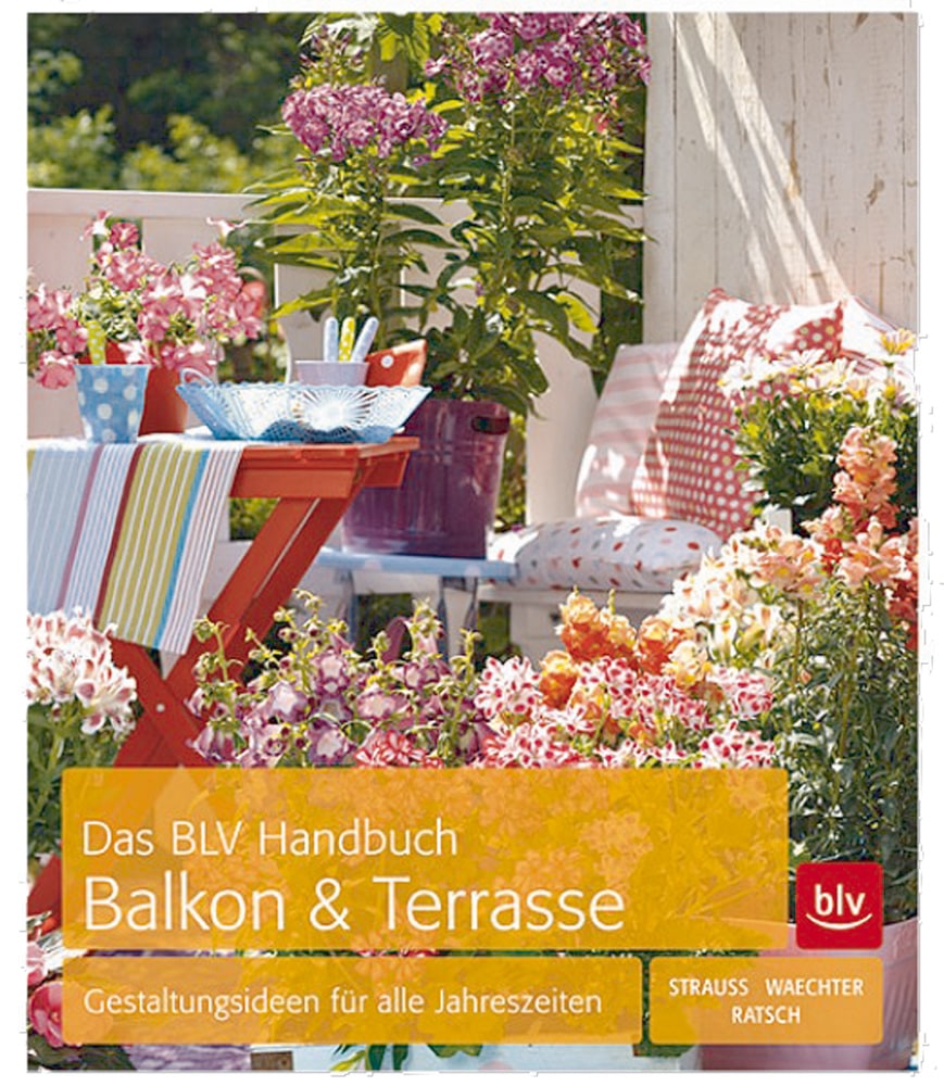 Das große BLV Handbuch Balkon und Terrasse - Friedrich Strauß