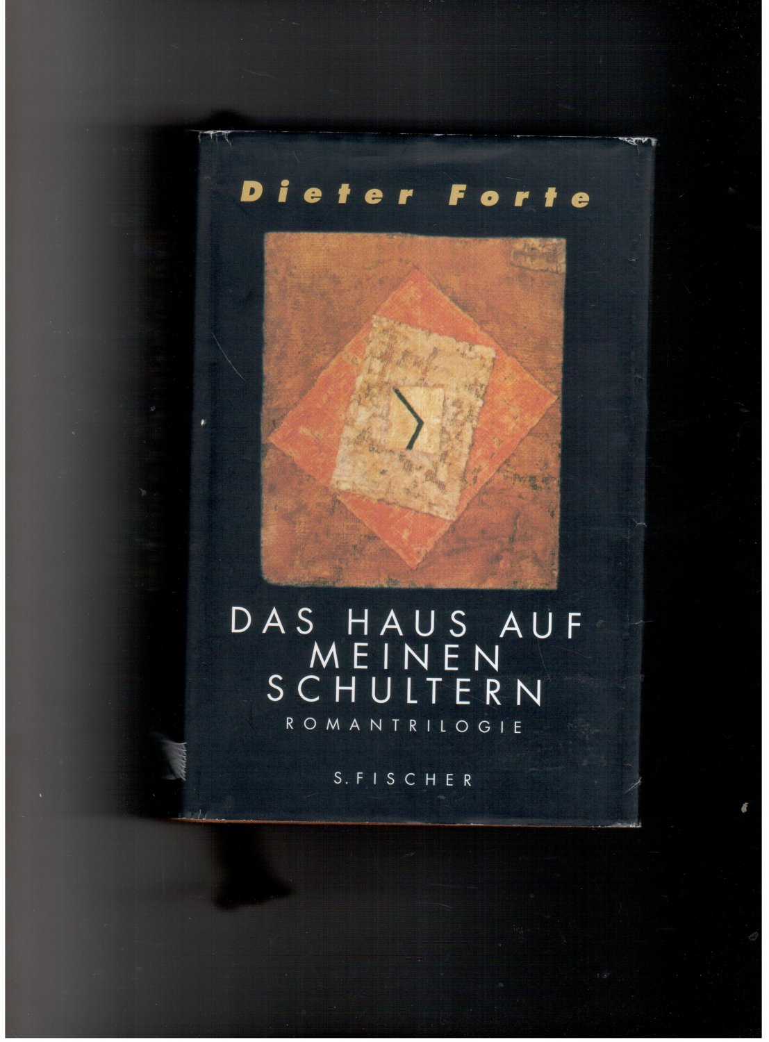 Das Haus auf meinen Schultern - Romantrilogie - Dieter Forte