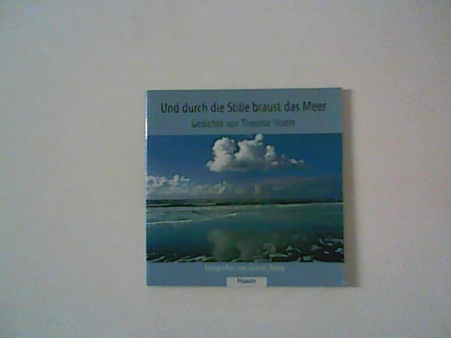 Und durch die Stille braust das Meer : Gedichte - Storm, Theodor