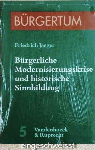 Bürgerliche Modernisierungskrise und historische Sinnbildung. - Jaeger, Friedrich