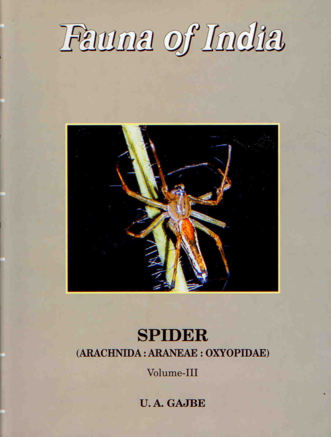Fauna of India: Spider Vol. III: Arachnida: Araneae: Oxyopidae - Gajbe, U.A.