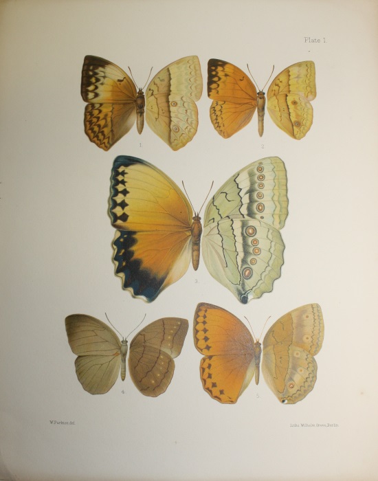 Butterflies from China, Japan, and Corea. COMPLETE 6-part