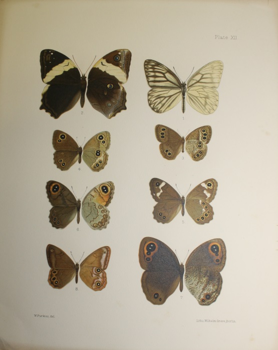 Butterflies from China, Japan, and Corea, Volume 1: Leech