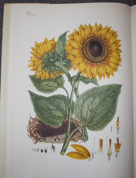 Great Flower Books 17001900 A Bibliographical Record of Two Centuries of FinelyIllustrated