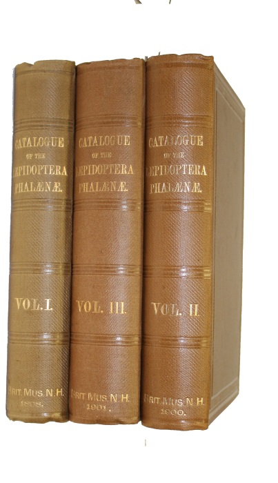 Catalogue of the Lepidoptera Phalaenae in the British Museum. Vol. 1-3 - Hampson, G.F.