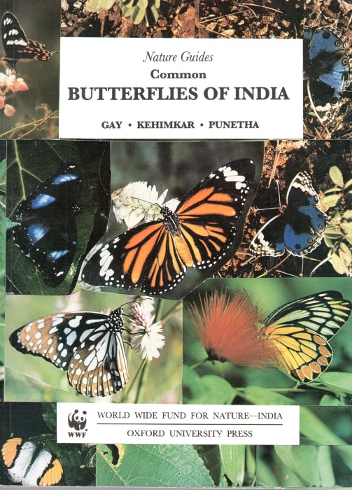 Common Butterflies of India - Gay, T.; Kehimkar,I.D.; Punetha, J.C.