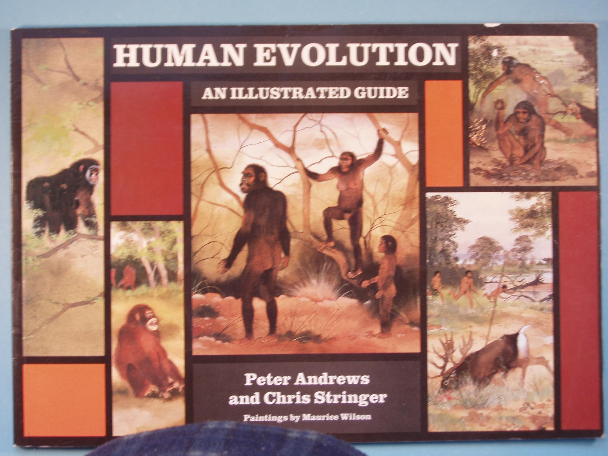 Human Evolution: An Illustrated Guide - Peter Andrews; Chris Stringer