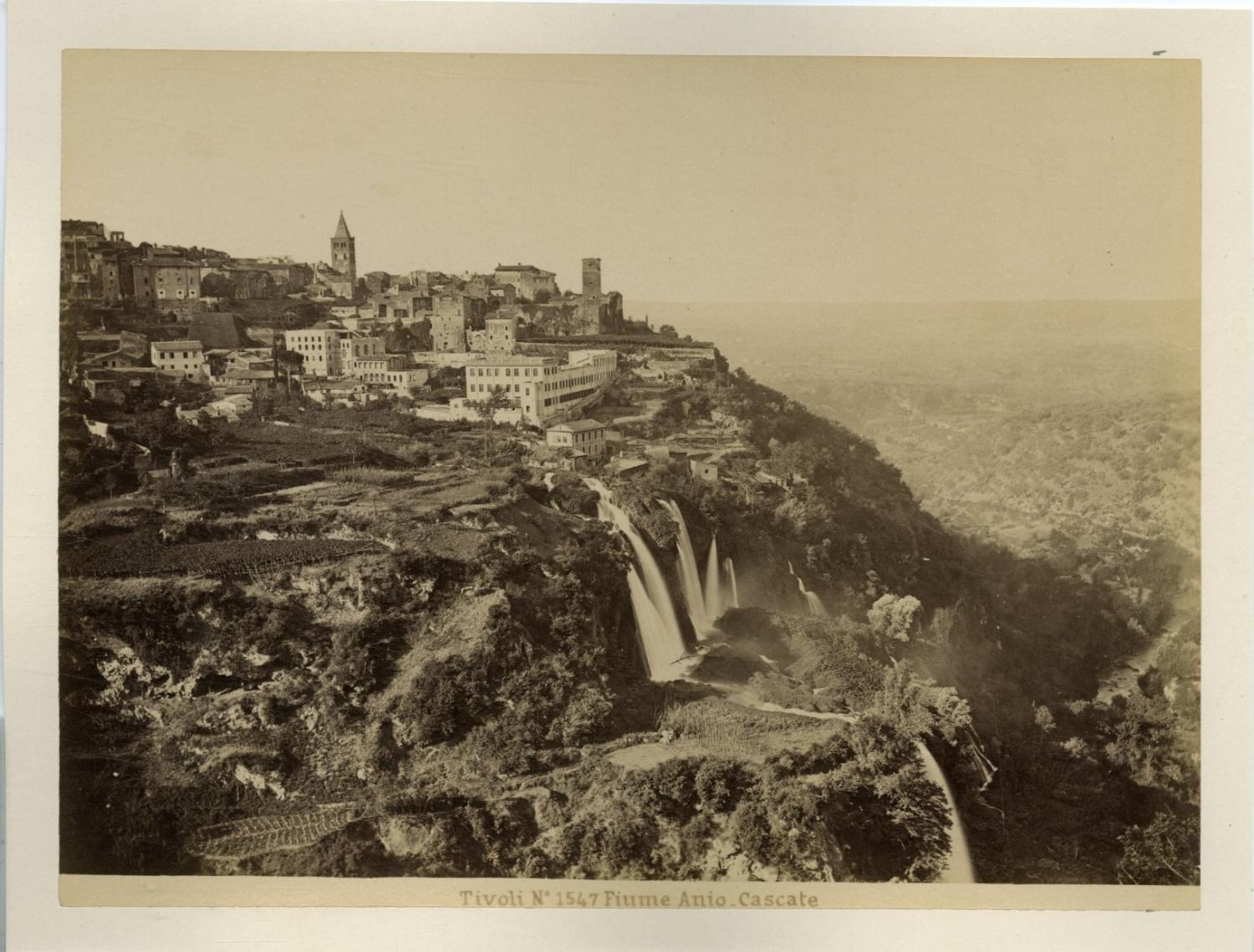 Tirage Albuminé Vintage Italie Bordighera Palme Di Scheffel - Circa 1880, Format 20x25 Cm