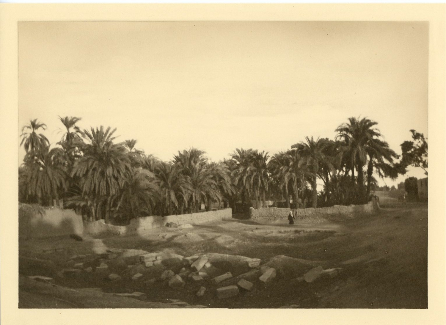 Egypte, une palmeraie by Photographie originale / Original photograph ...