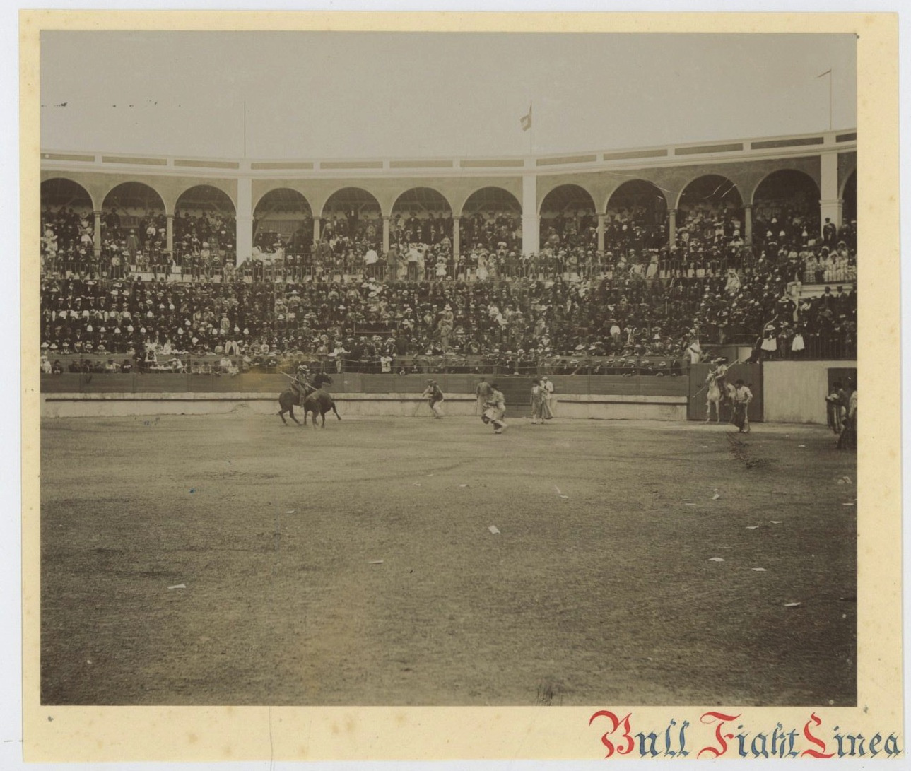 Espagne Algeciras Corrida De Toros By Photographie Originale Original Photograph 10 Photograph Photovintagefrance Espagne Algeciras Corrida De Toros By Photographie Originale Original Photograph 10 Photograph Photovintagefrance