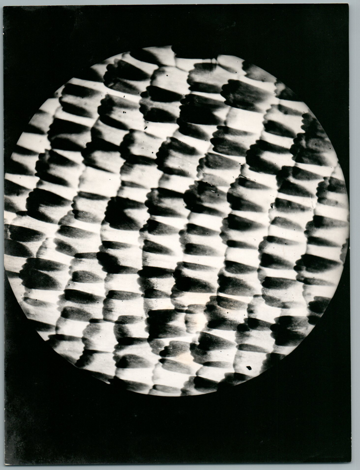 Phot. R. Dizier, Microphotographie Photographie originale / Original photograph [ ]