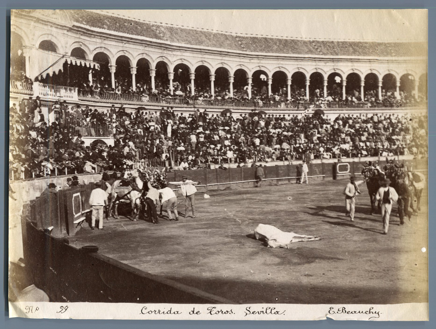 Beauchy Espagne Corrida De Toros Sevilla By Photographie Originale Original Photograph 10 Photograph Photovintagefrance Beauchy Espagne Corrida De Toros Sevilla By Photographie Originale Original Photograph 10 Photograph Photovintagefrance