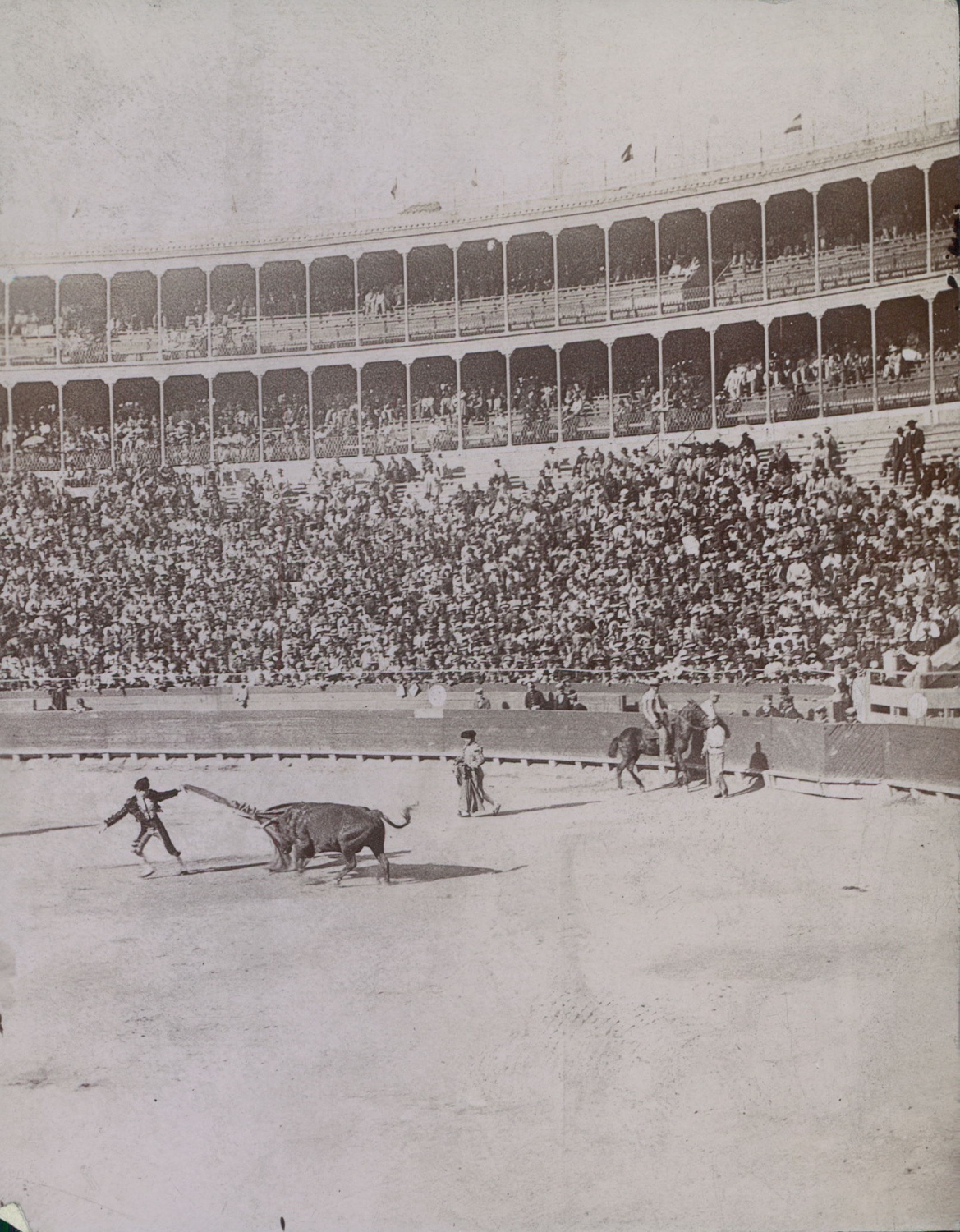 Espagne ca.1900 Vintage cit Corrida Spectateurs observant Matador et taureau 