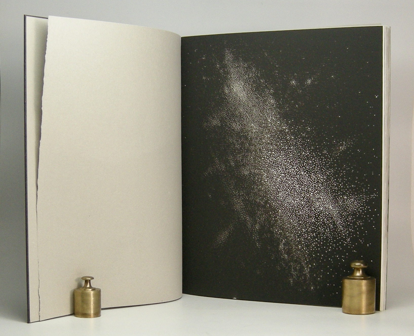 The Island of Rota; Text Oliver Sacks, Cliché-verres Abelardo Morell, Design Ted Muehling Sacks, Oliver; Morell, Abelardo; Muehling, Ted [Comme Neuf]