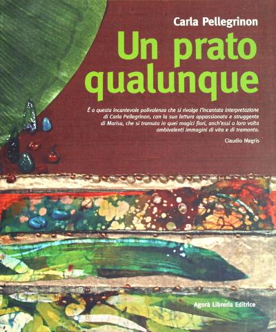 Un Prato Qualunque - Carla Pellegrinon - Testi di Myriam Zerbi e Silvia Blezza Picherle - Opere di Carla Pellegrinon