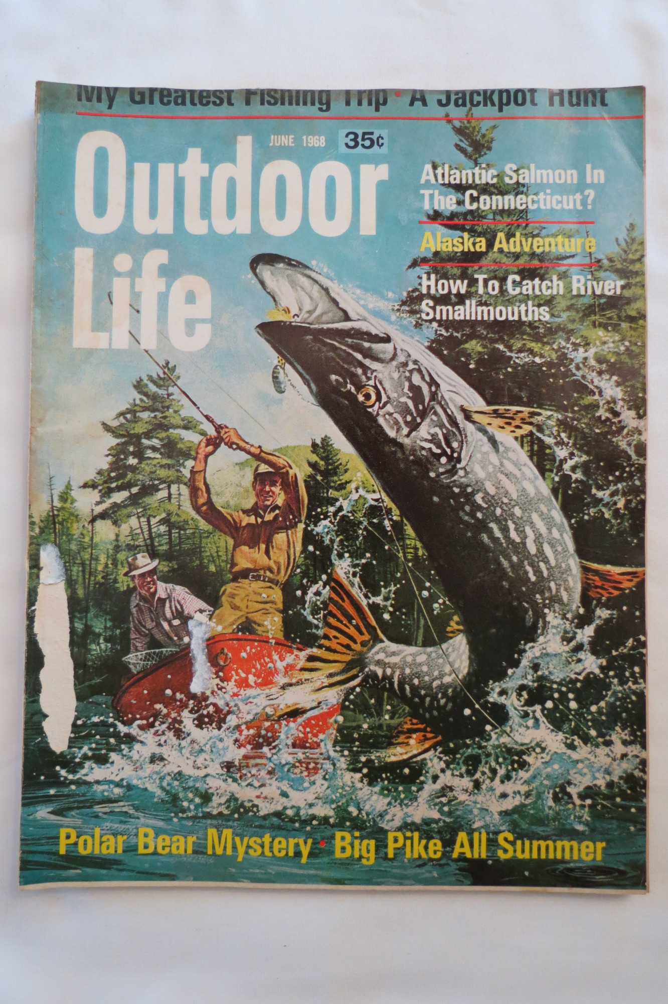 OUTDOOR LIFE MAGAZINE, JUNE 1968 (1968) Magazine / Périodique Sage