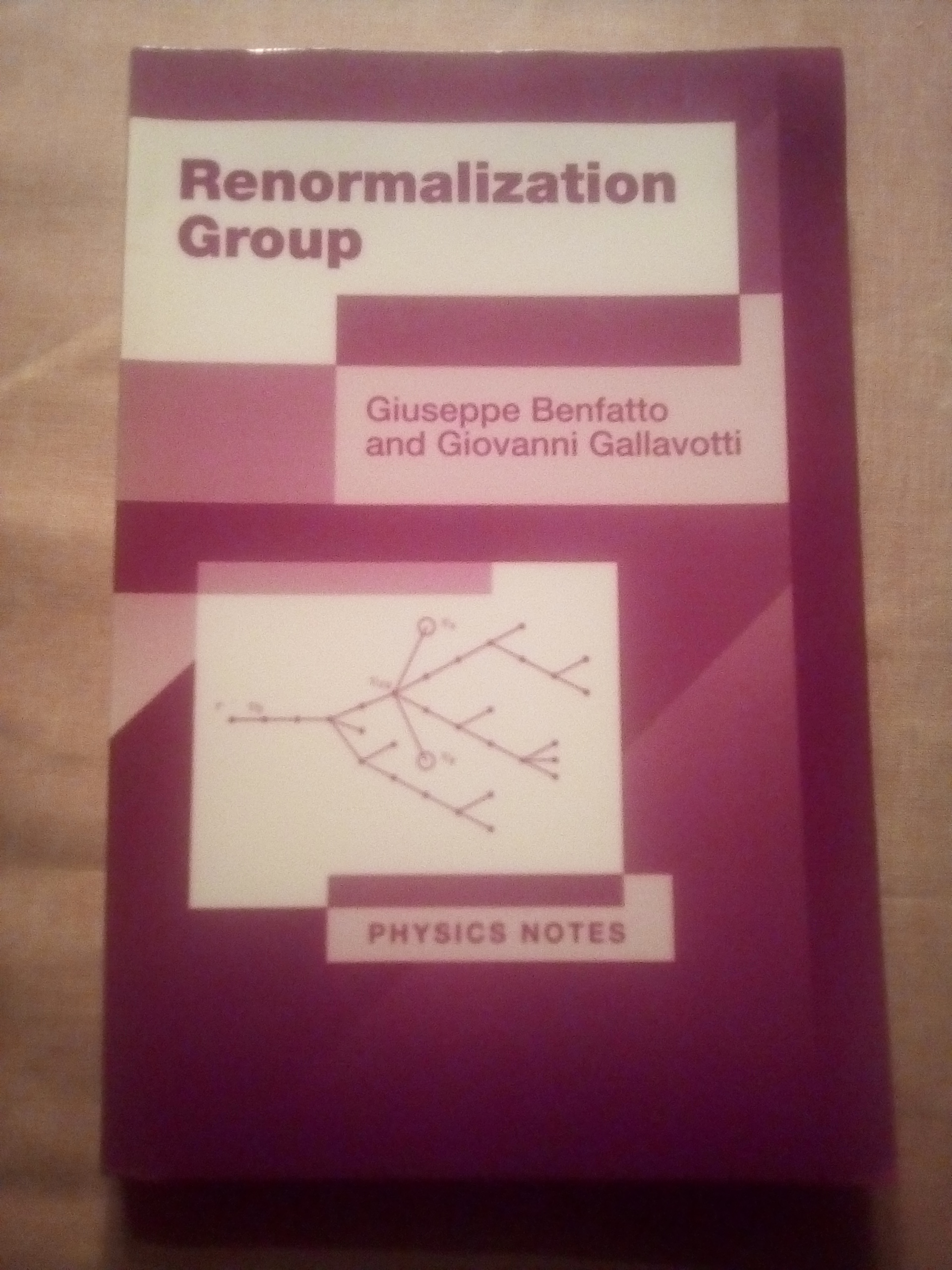 Renormalization Group - Benfatto, Giuseppe and Gallavotti, Giovanni