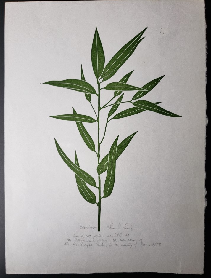 Linoleum Block Print of a Northern California Plant or Flower: Bamboo. Signed and Numbered by Dr. Edmund E. Simpson. Simpson, Edmund E. [Fine]
