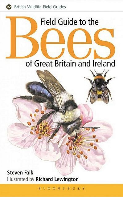 Field Guide to the Bees of Great Britain and Ireland. British Wildlife Field Guide. Falk, S. [ ]