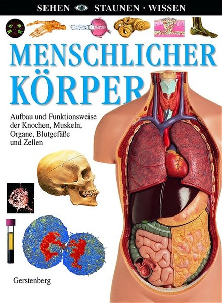 Menschlicher Körper