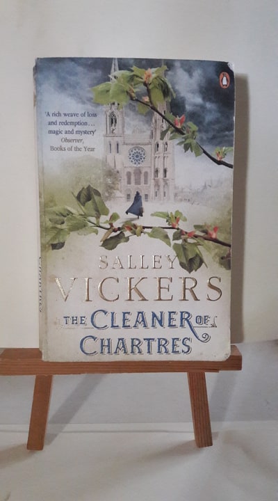 The Cleaner of Chartres - Salley Vickers