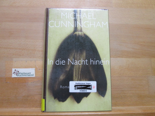 In die Nacht hinein : Roman. Michael Cunningham. Aus dem Amerikan. von Georg Schmidt - Cunningham, Michael und Georg Schmidt