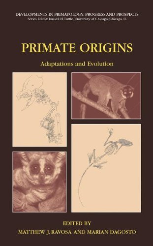 Primate Origins: Adaptations and Evolution (Developments in Primatology: Progress and Prospects) [Hardcover ]