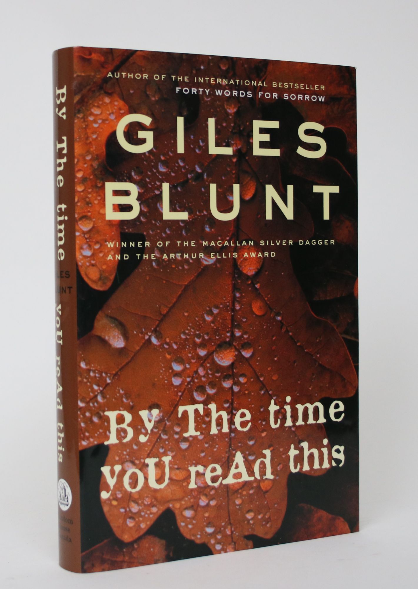 By the Time You Read This - Blunt, Giles