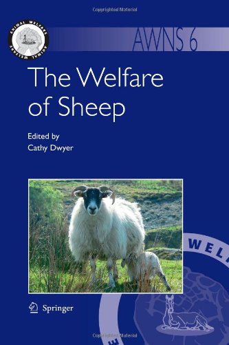 The Welfare of Sheep (Animal Welfare) [Soft Cover ] - Dwyer, Cathy M.