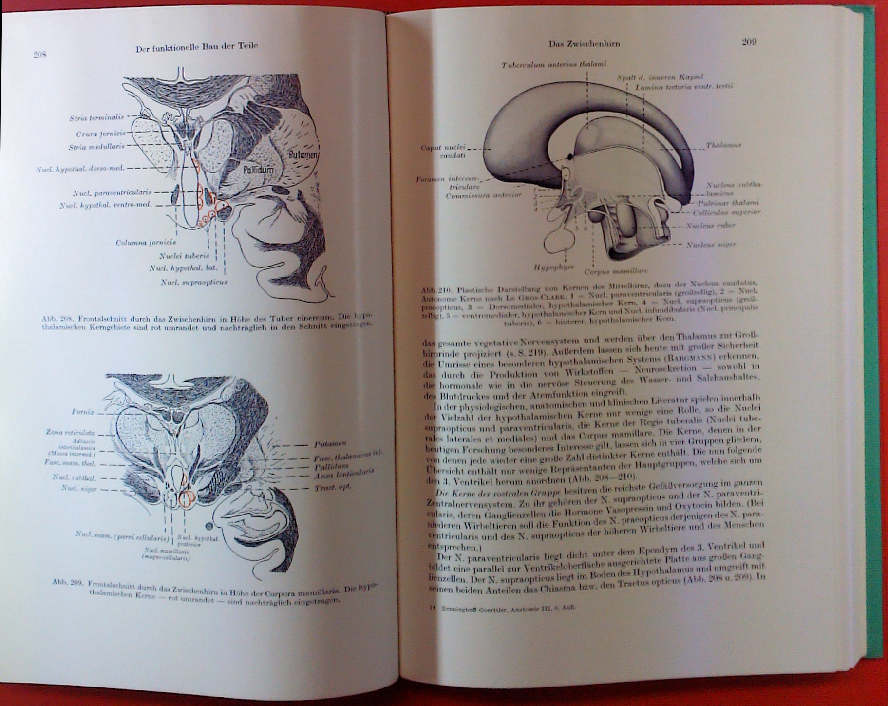 Lehrbuch der Anatomie des Menschen. Dritter Band: Nervensystem, Haut