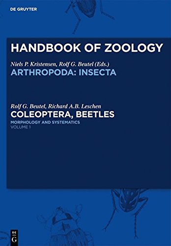 Coleoptera, Beetles, Volume 1: Morphology and Systematics (Archostemata, Adephaga, Myxophaga, Polyphaga Partim) (Handbuch Der Zoologie/Handbook of Zoology) [Hardcover ]