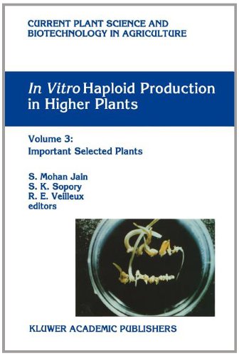 In vitro Haploid Production in Higher Plants: Volume 3: Important Selected Plants (Current Plant Science and Biotechnology in Agriculture) [Soft Cover ]