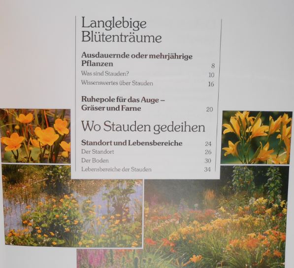 Der große ADACRatgeber Garten Blütenstauden. Mit Pflanzenlexikon und