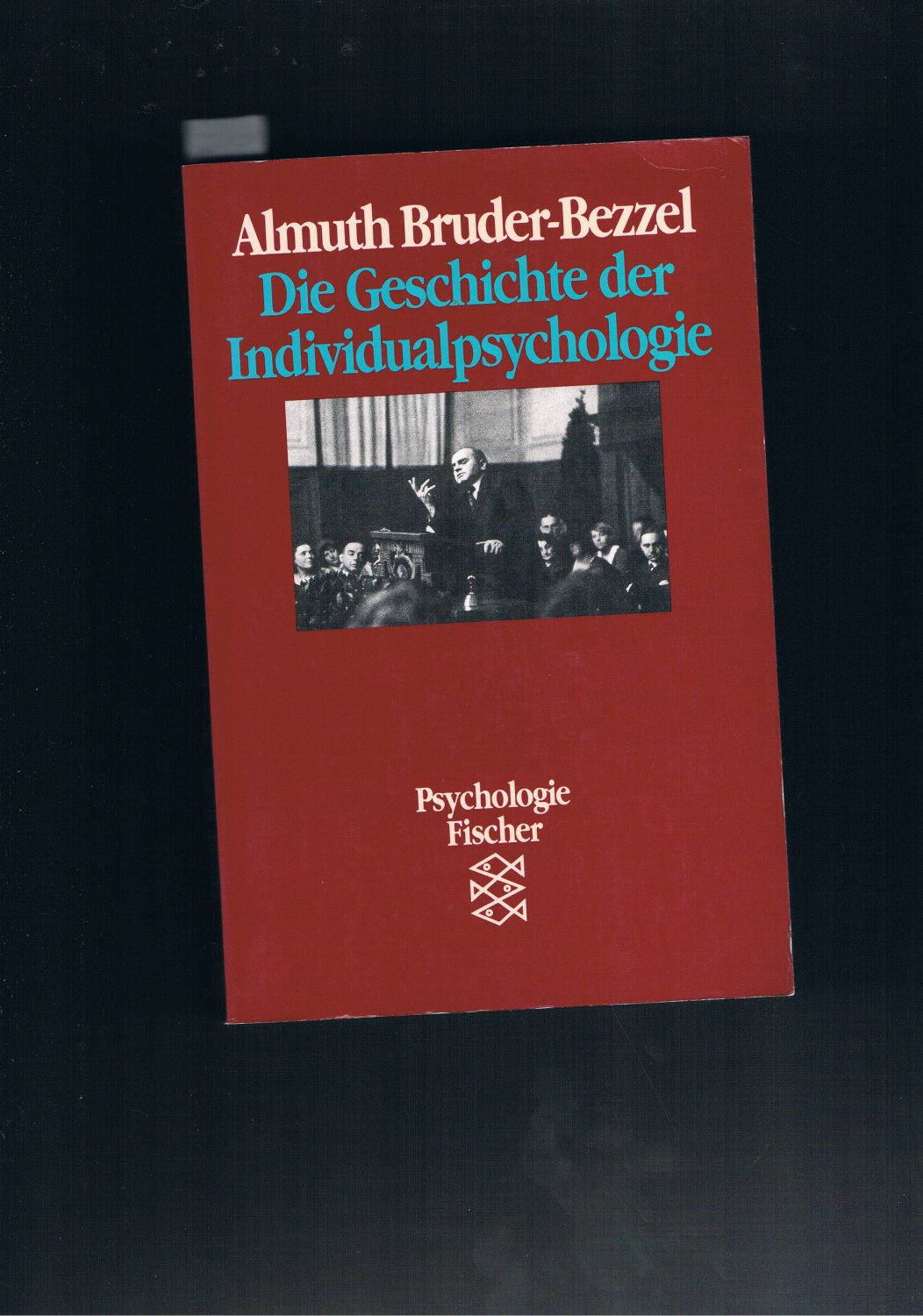 Die Geschichte der Individualpsychologie - Almut Bruder-Bezzel