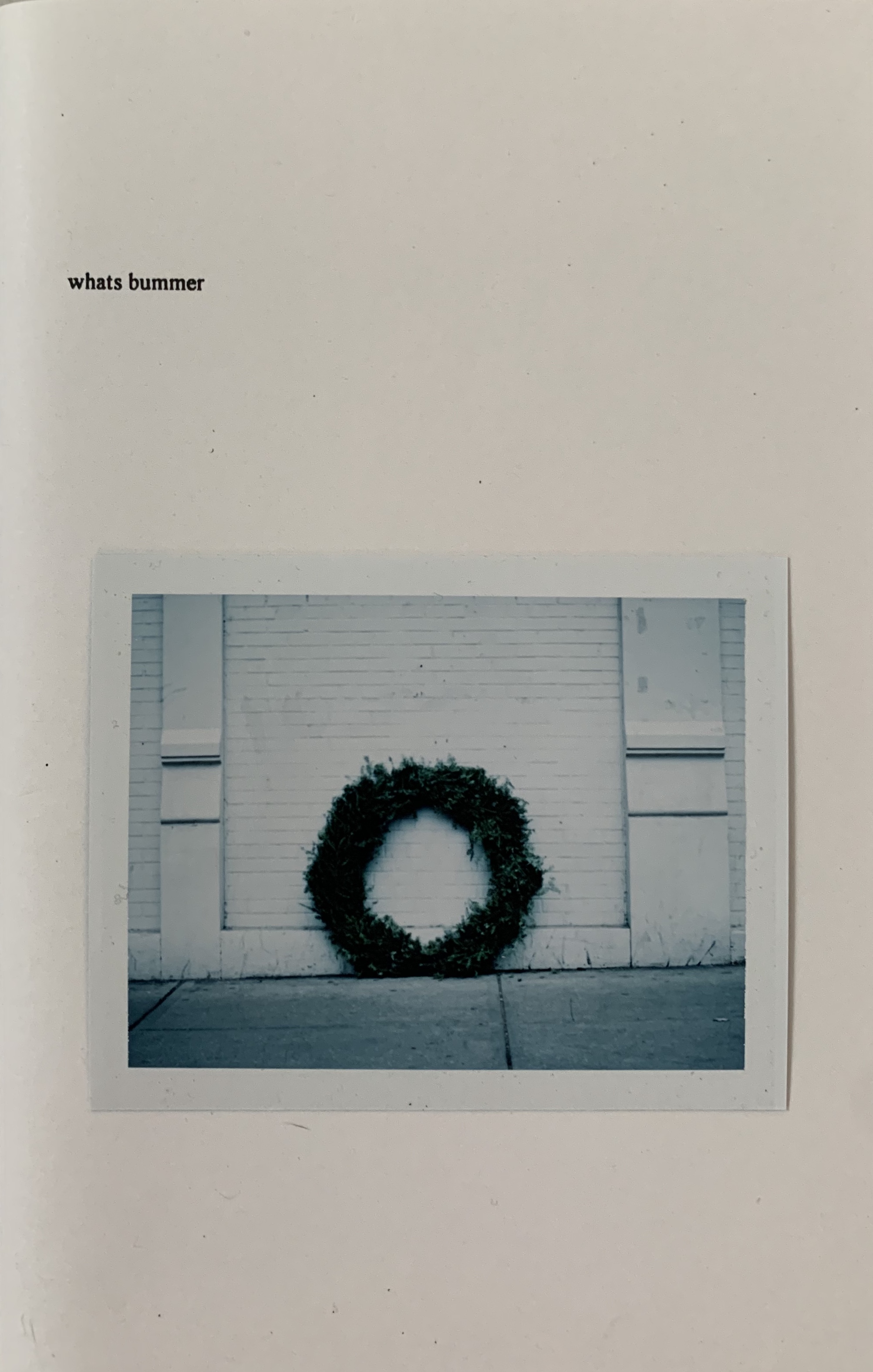MARK BORTHWICK: WHATS BUMMER - LIMITED EDITION OF ONE
