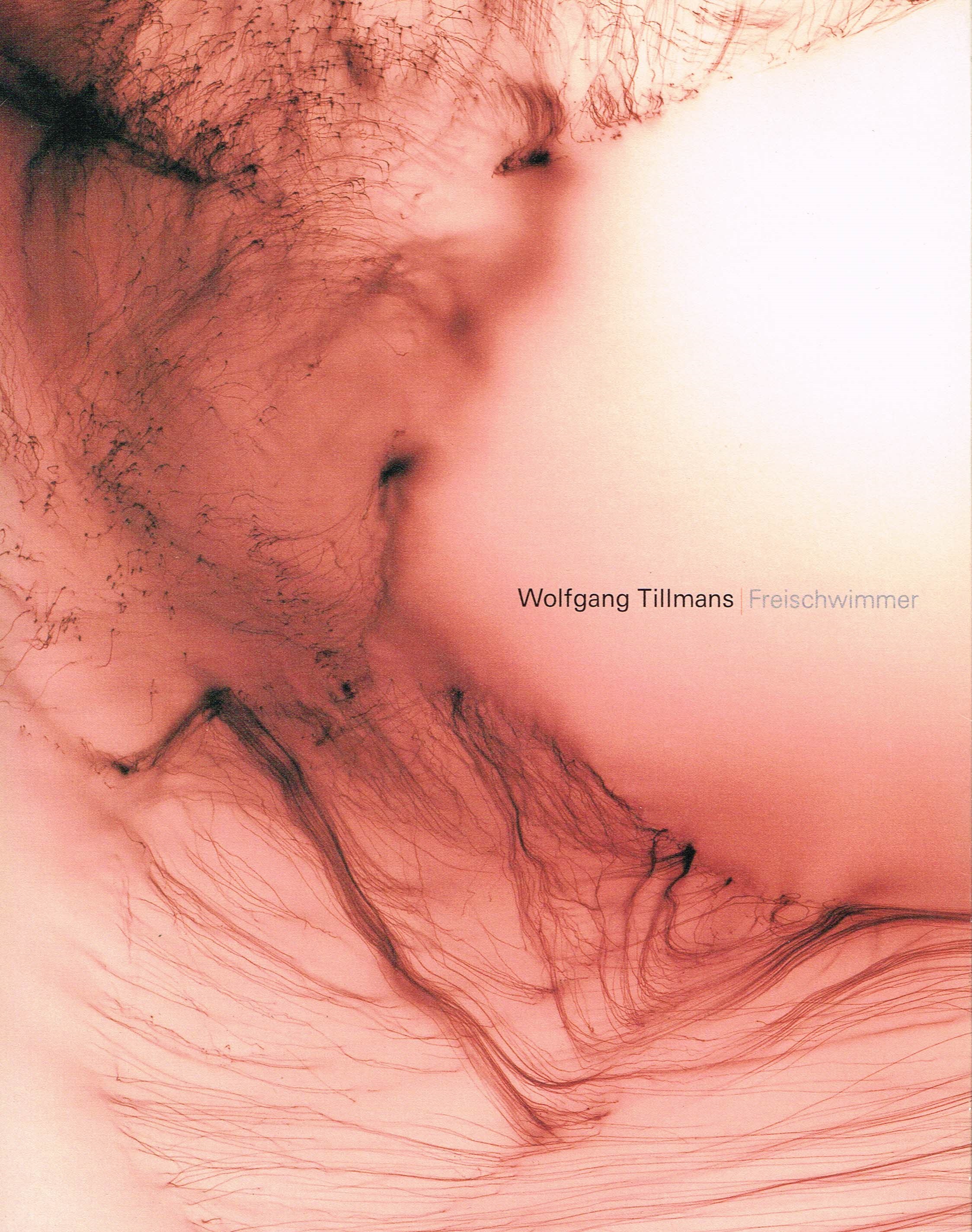 Freischwimmer, 2003 - Wolfgang Tillmans - WikiArt.org