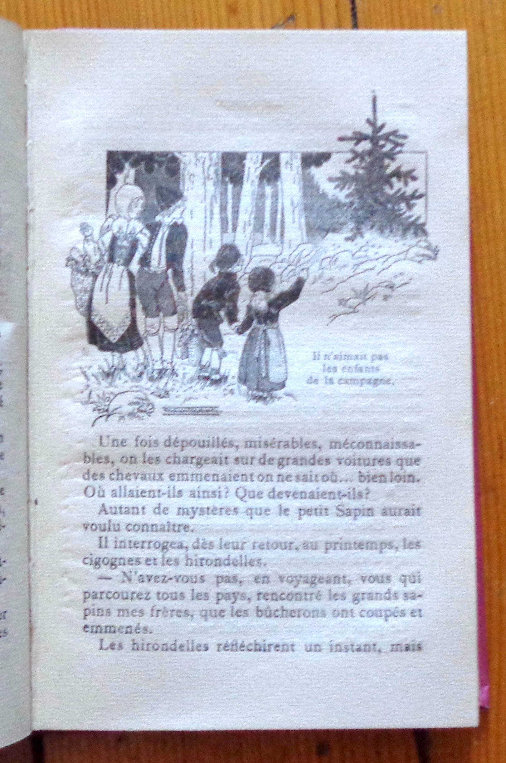 La Reine des neiges. Andersen: [Très bon] [Couverture rigide]